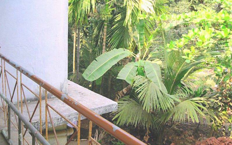 Somkrupa Cottage, Alibaug 5